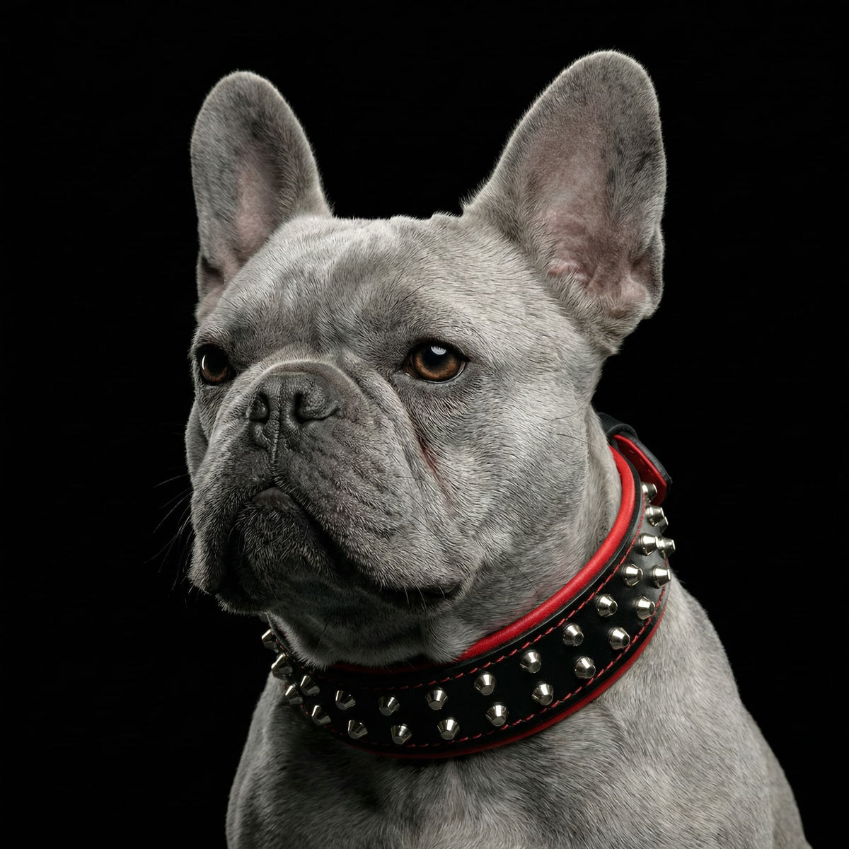 "Rocky" collar